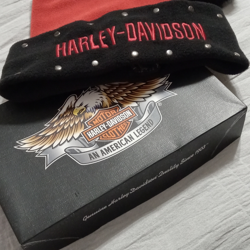 Harley Davidson Christmas hat